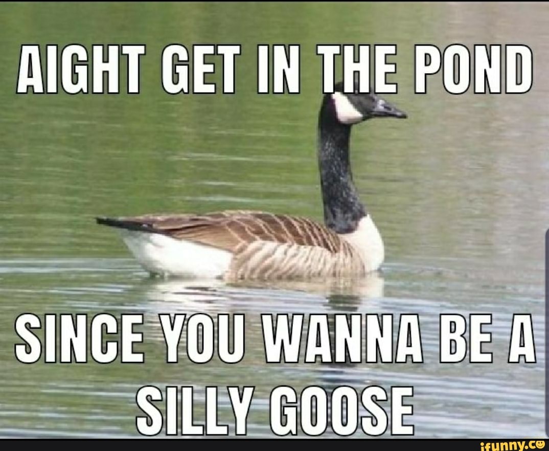 Aight Get In The Pond Since You Wanna Be Al Silly Goose.