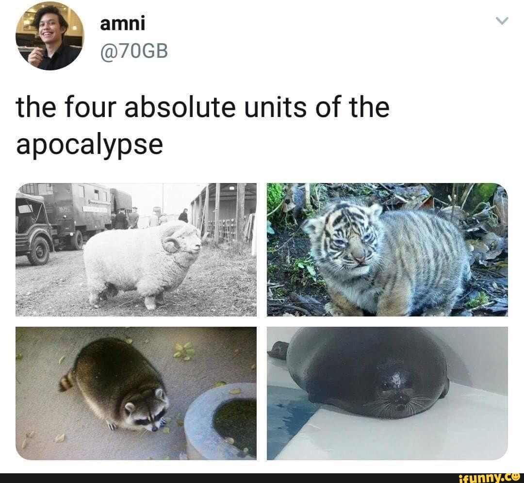 4 absolute units of the apocalypse