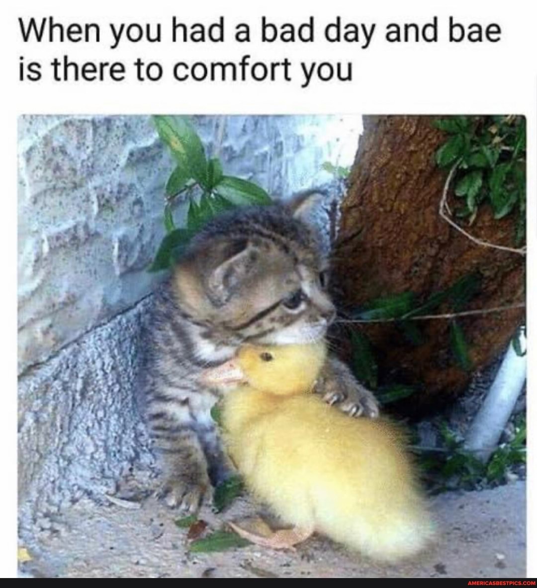 When you had bad day and bae is there to comfort you