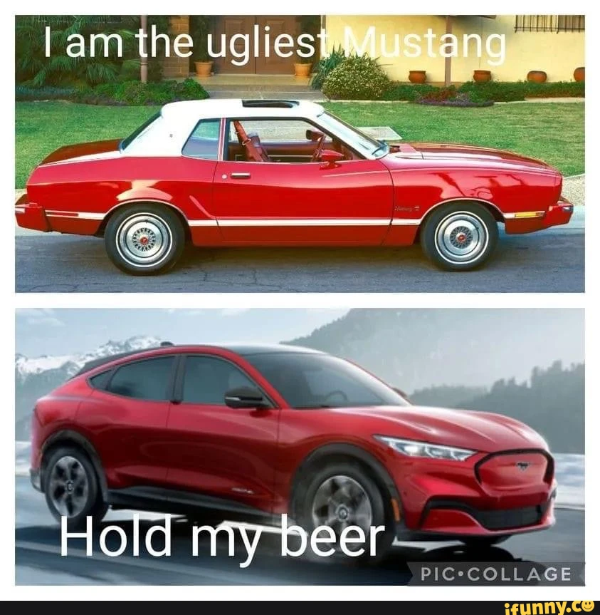 am the ugliest-Mustang Hold my beer COLLAGE