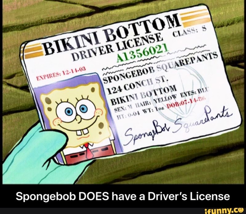 Spongebob DOES have a Driver's License - Spongebob DOES have a Driver’...