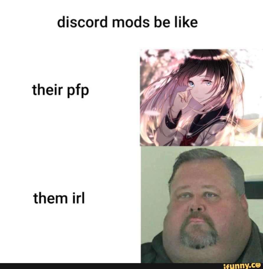 Discord mods be like their pfp them irl - iFunny