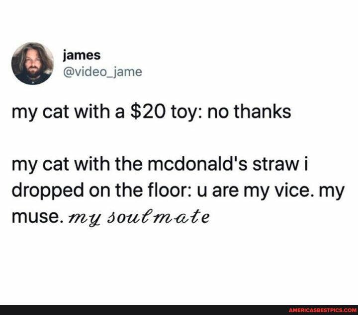 james
@video_jame my cat with a $20 toy: no thanks
my cat with the mcdonald's straw i dropped on the floor: u are my vice. my muse. my soulmate
