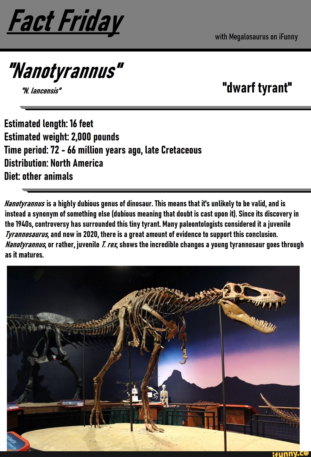 nanotyrannus-w-lancensis-dwarf-tyrant-estimated-length-16-feet