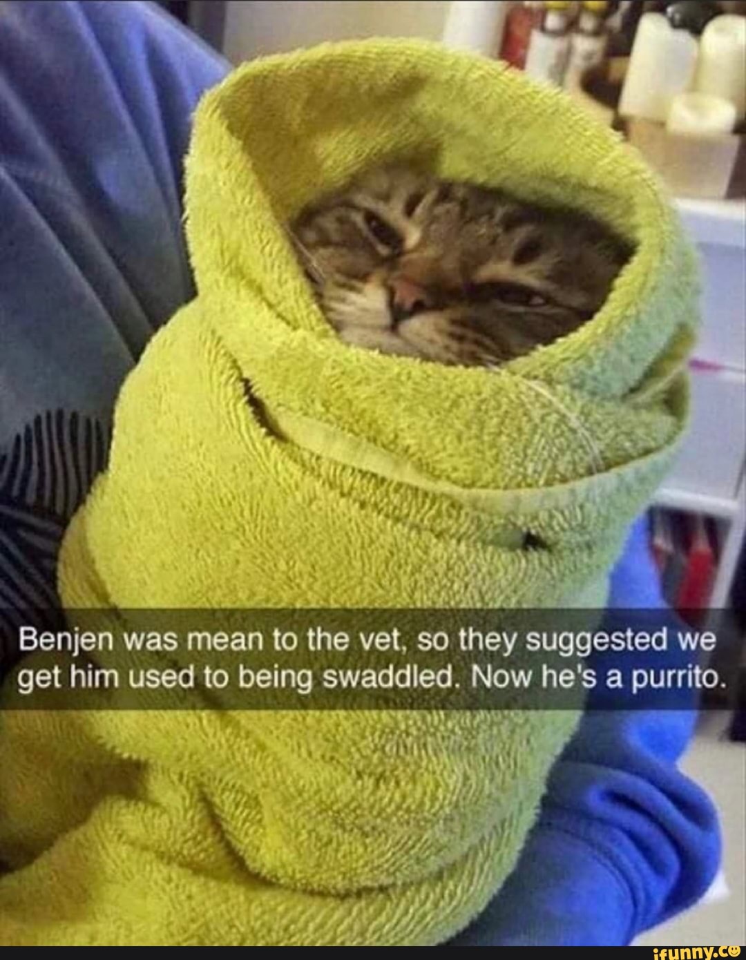 Benjen was mean to the vet, so they suggested we
gen him used to Ee swaddled. Now he's a pulp: