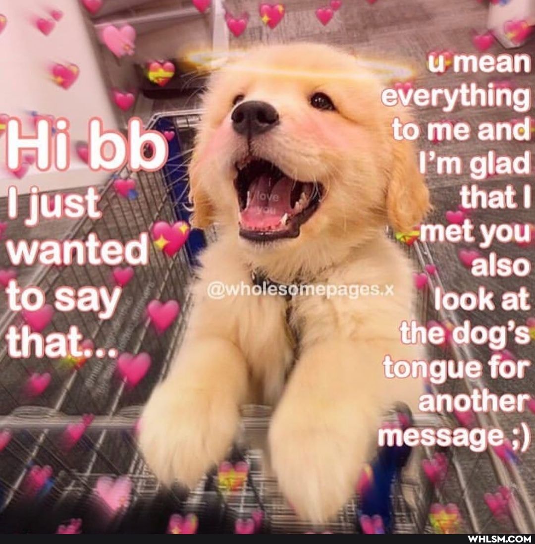 Hi bb just wanted to say that...
u mean everything to me and
I'm glad that
met you also
look at
the dag's tongue for another message