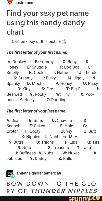 V Jusxrpmemes Find Your Sexy Pet Name Using This Handy Dandy Chart Carbon Copy Ohms Picture Rl The ﬁrst Letter Ofyaur Ms Name A Donkey B Yummy C Baby D Honey E