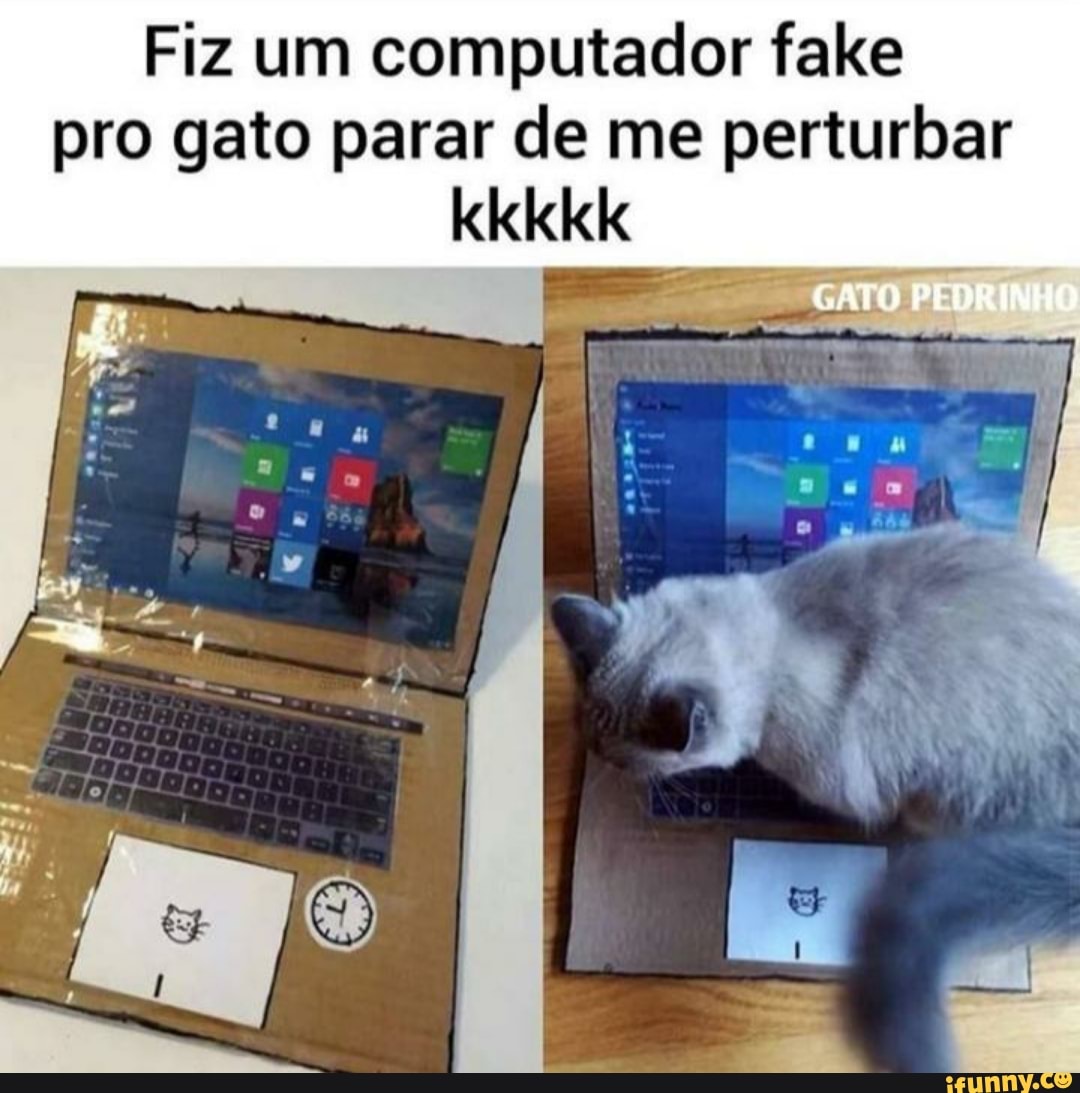 Fiz um computador fake
pro gato parar de me perturbar