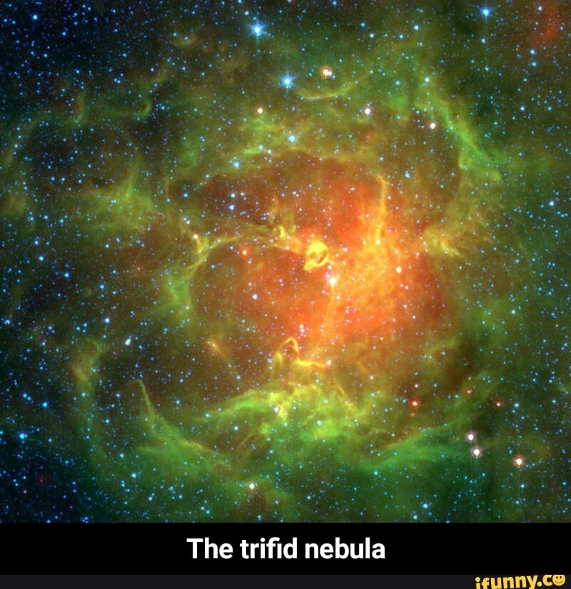 The trifid nebula - The trifid nebula