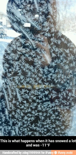 This is what happens when it has snowed a lot
and was -11°F - This is what happens when it has snowed a lot and was -11°F