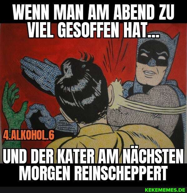 WENN MAN AM ABEND ZU VIEL GESOFFEN HAT...
UND DER KATER AM NÄCHSTEN MORGEN REINSCHEPPERT