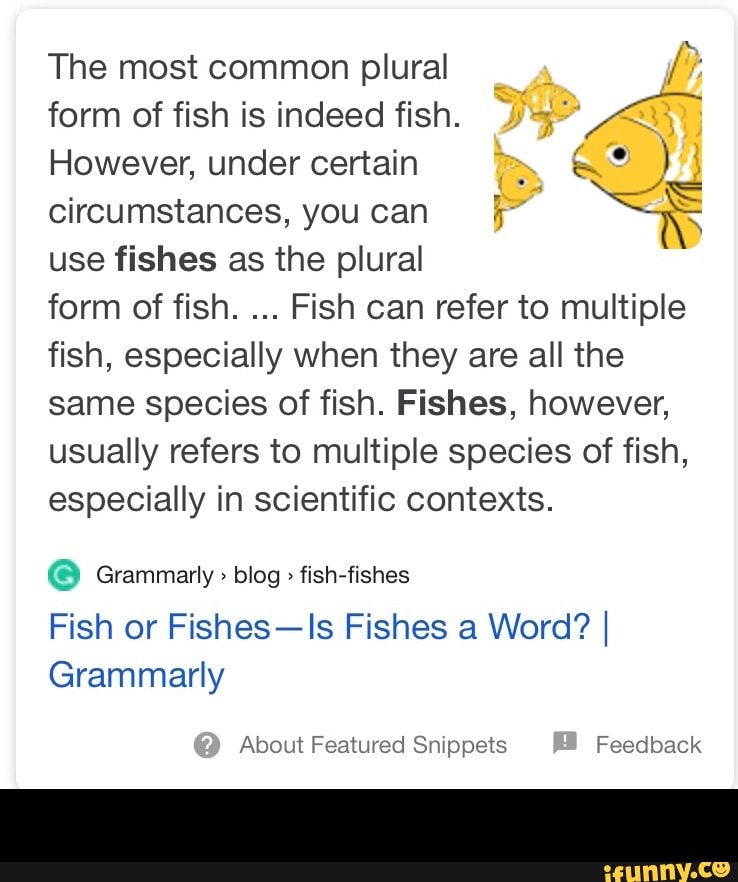 the-most-common-plural-a-form-of-fish-is-indeed-fish-52-47-however