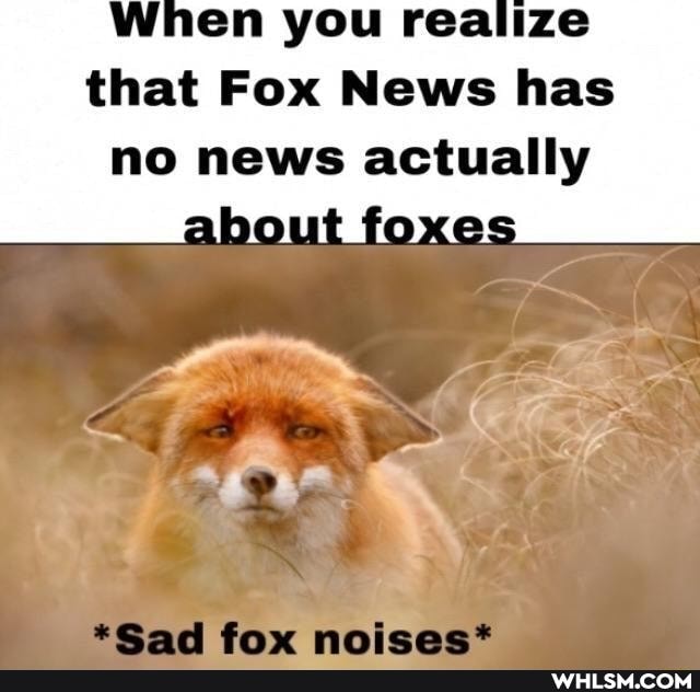 When you realize that Fox News has no news actually about foxes
*Sad fox noises*