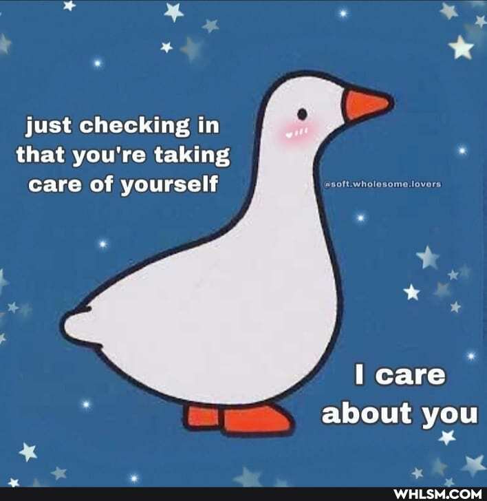 just checking in that you're taking care of yourself
I care
about you