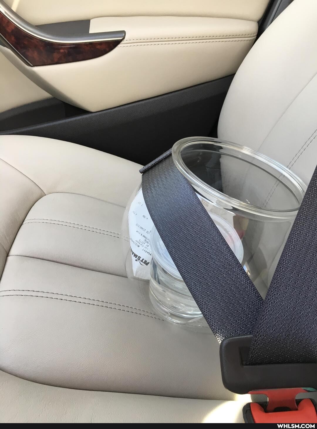 fish, help, advice_animals, betta_fish, i_replaced_my_roommate_with_a_fish