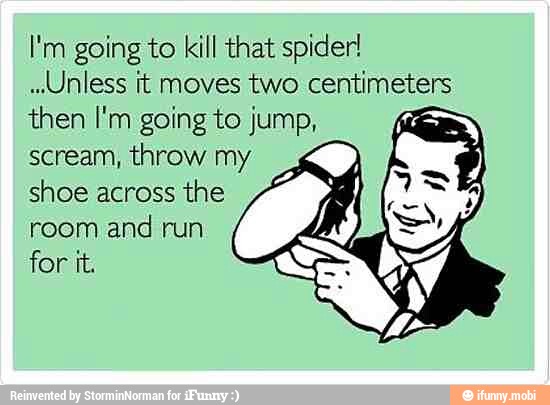 I'm going to kill that spider!
"Unless it moves two centimeters
then I'm going to jump,
scream, throw my
shoe across
the 2
room and run
for it.