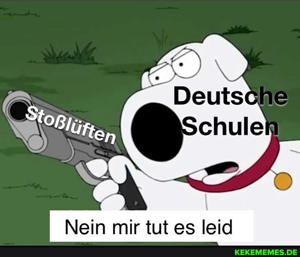 Nein mir tut es leid