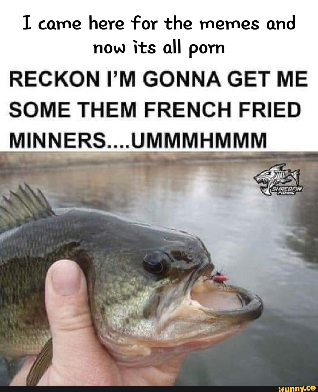 1080px x 1328px - I came here for the memes and now its all porn RECKON I'M GONNA GET ME SOME  THEM FRENCH FRIED MINNERS....UMMMHMMM - iFunny Brazil