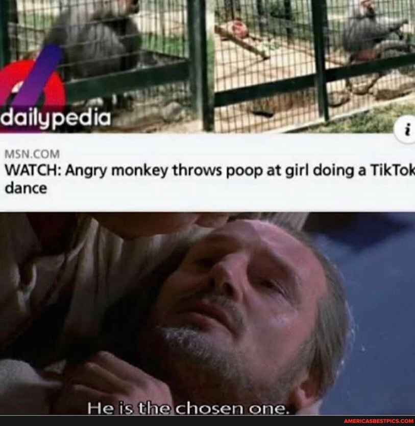 WATCH Angry monkey throws poop at girl doing a TikTok dance America
