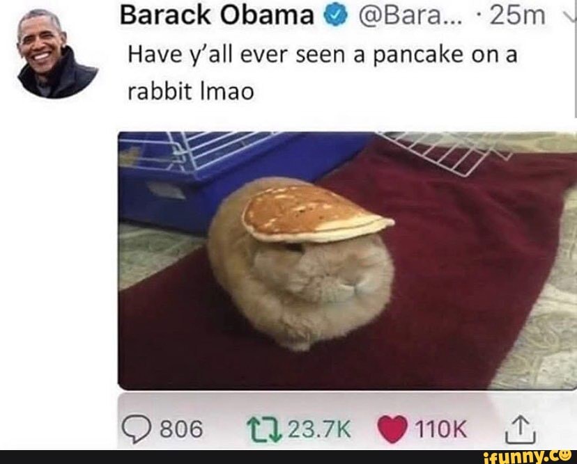 Barack Obama Y QBara... -25m Have y'all ever seen a pancake ona
rabbit Imao