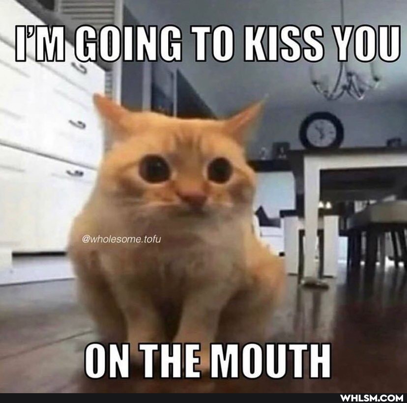 -F'M.GOING TO KISS YOU
ON THE MOUTH