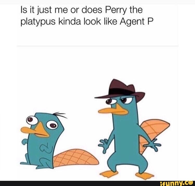 Is It Just Me Or Does Perry The Platypus Kinda Look Like Agent P 