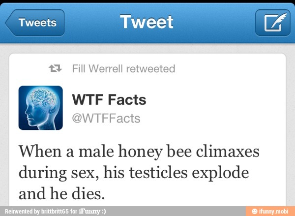 Tweets
Tweet
3 Fill Werrell retweeted
When a
male honey bee climaxes
during sex, his testicles explode
and he dies.