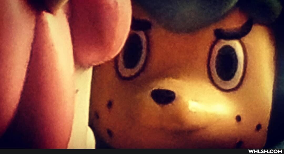 nintendo, random, animal_crossing, amiibo