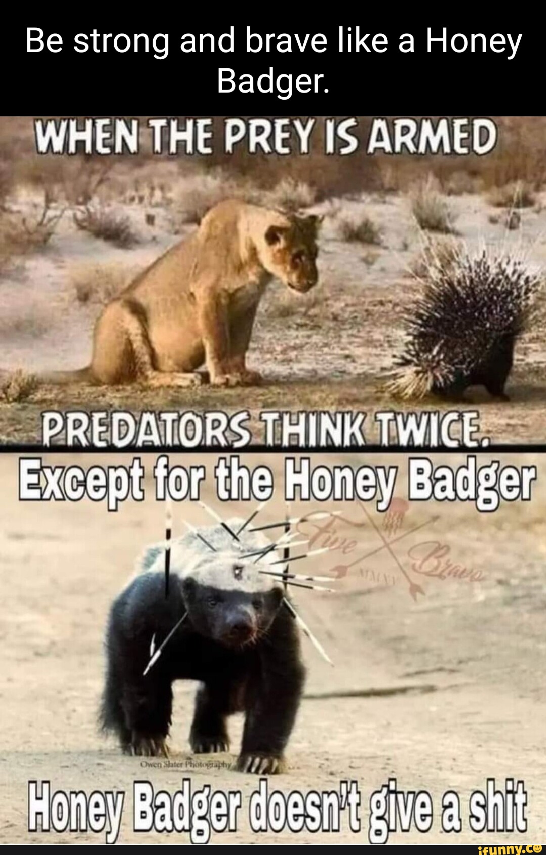 Be strong and brave like a Honey Badger. WHEN THE PREY IS ARMED