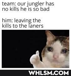 team: our jungler has no kilis he Is so bad
him: kills to the the janers
kills to the