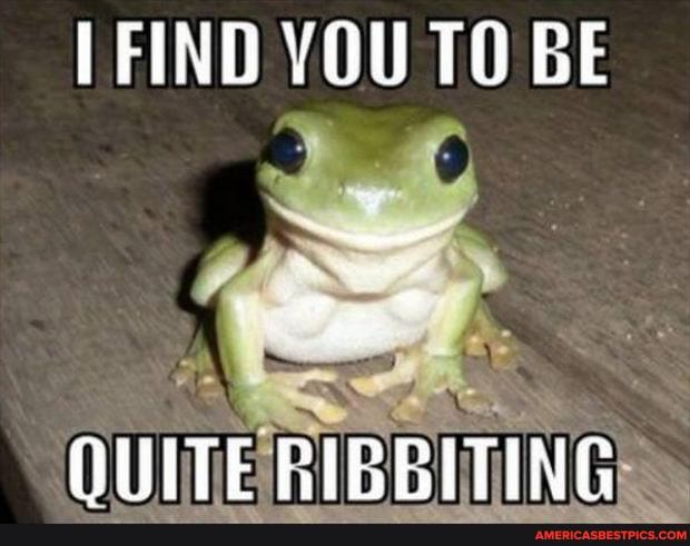 FIND YOU TO BE
OUITERIBBITING