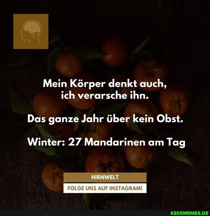 Mein Körper denkt auch, ich verarsche ihn.
Das ganze Jahr über kein Obst.
Winter: 27 Mandarinen am Tag
HIRNWELT
UNS AUF