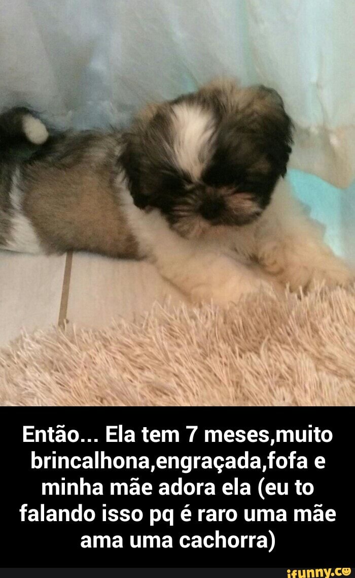 Então... Ela tem 7 meses muito
brincalhona,engraçada,fofa e
minha mae adora ela (eu to
falando isso pq é raro uma mae
ama uma cachorra) - Então... Ela tem 7 meses,muito brincalhona,engraçada,fofa e minha mãe adora ela (eu to falando isso pq é raro uma mãe ama uma cachorra)