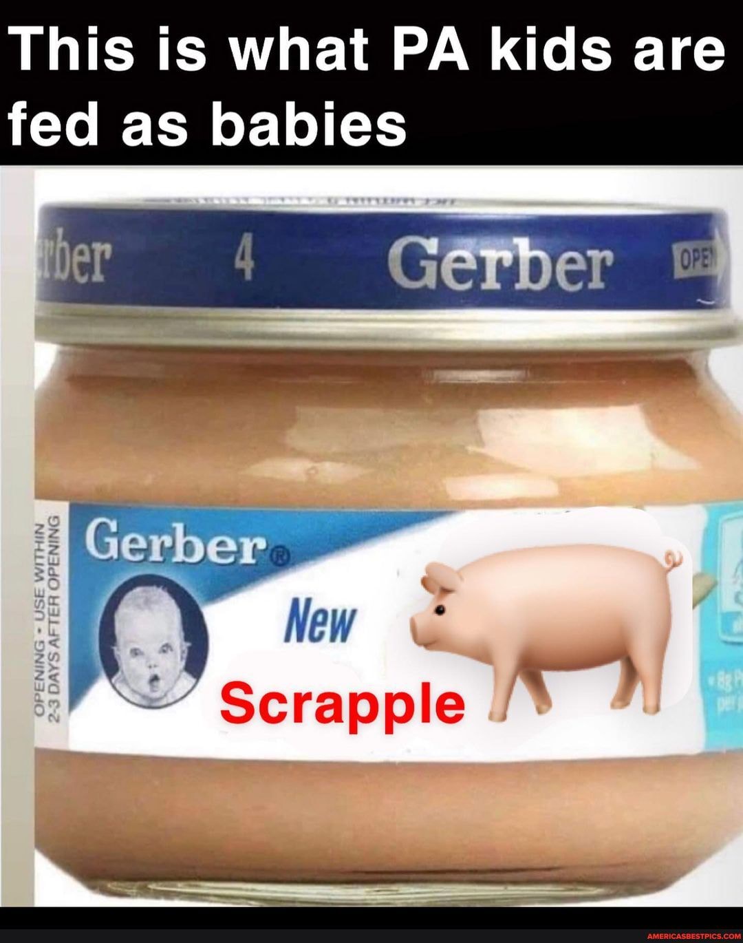 This ts what PA kids are fed as babies Gerber Gerber APUER OPERING USE