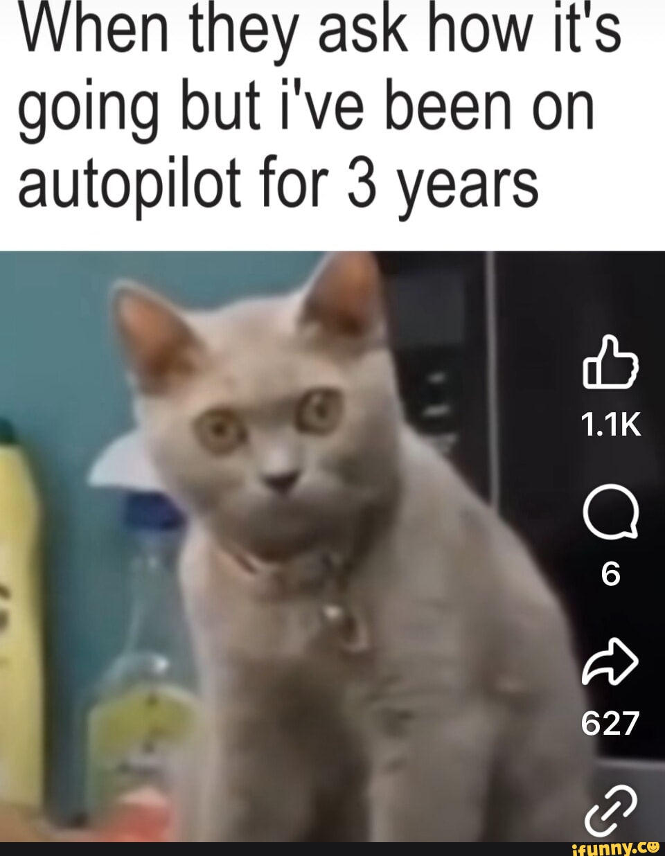 Autopilot memes. Best Collection of funny Autopilot pictures on iFunny