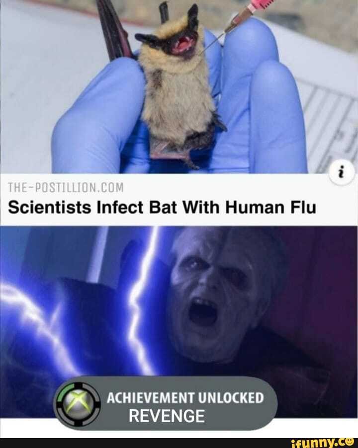 Scientists Infect Bat With Human Flu
ACHIEVEMENT UNLOCKED REVENGE