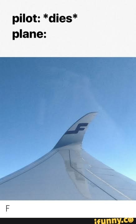 pilot: *dies*
plane: