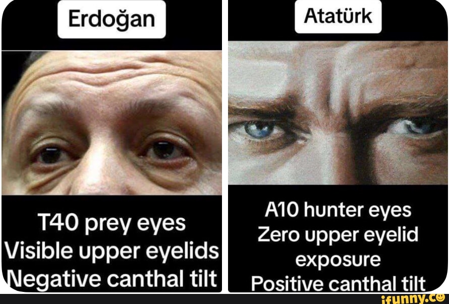 A110 hunter eyes Zero upper eyelid prey eyes Visible upper eyelids