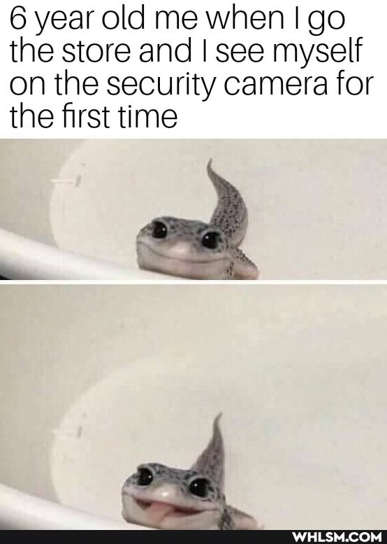 6 year old me when I go the store and I see myself on the security camera for the first time
od