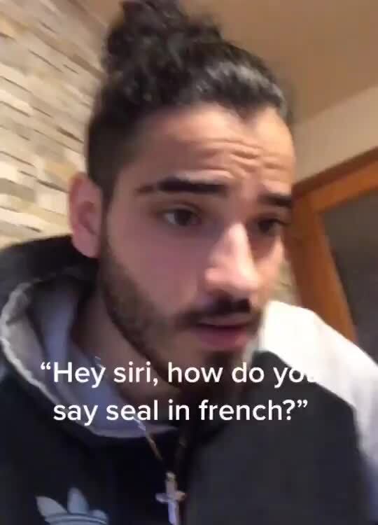 How To Say Baby Seal In French Meme