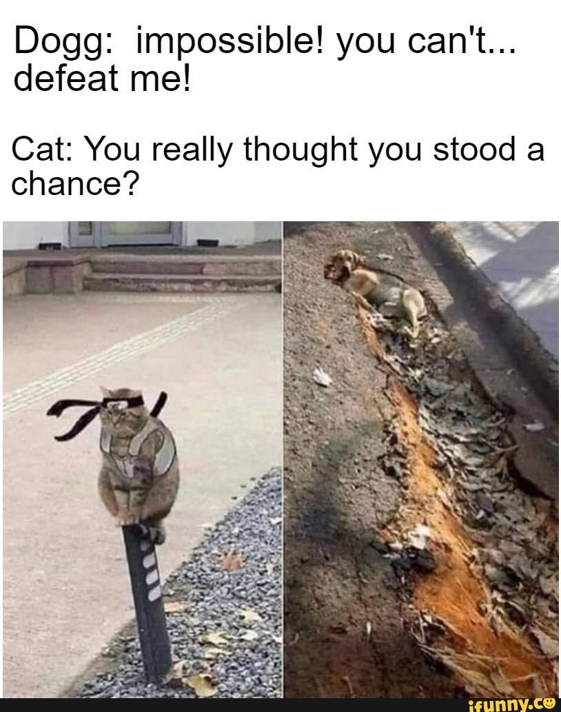 Dogg: impossible! you can't...
defeat me!
Cat: You really thought you stood a chance?