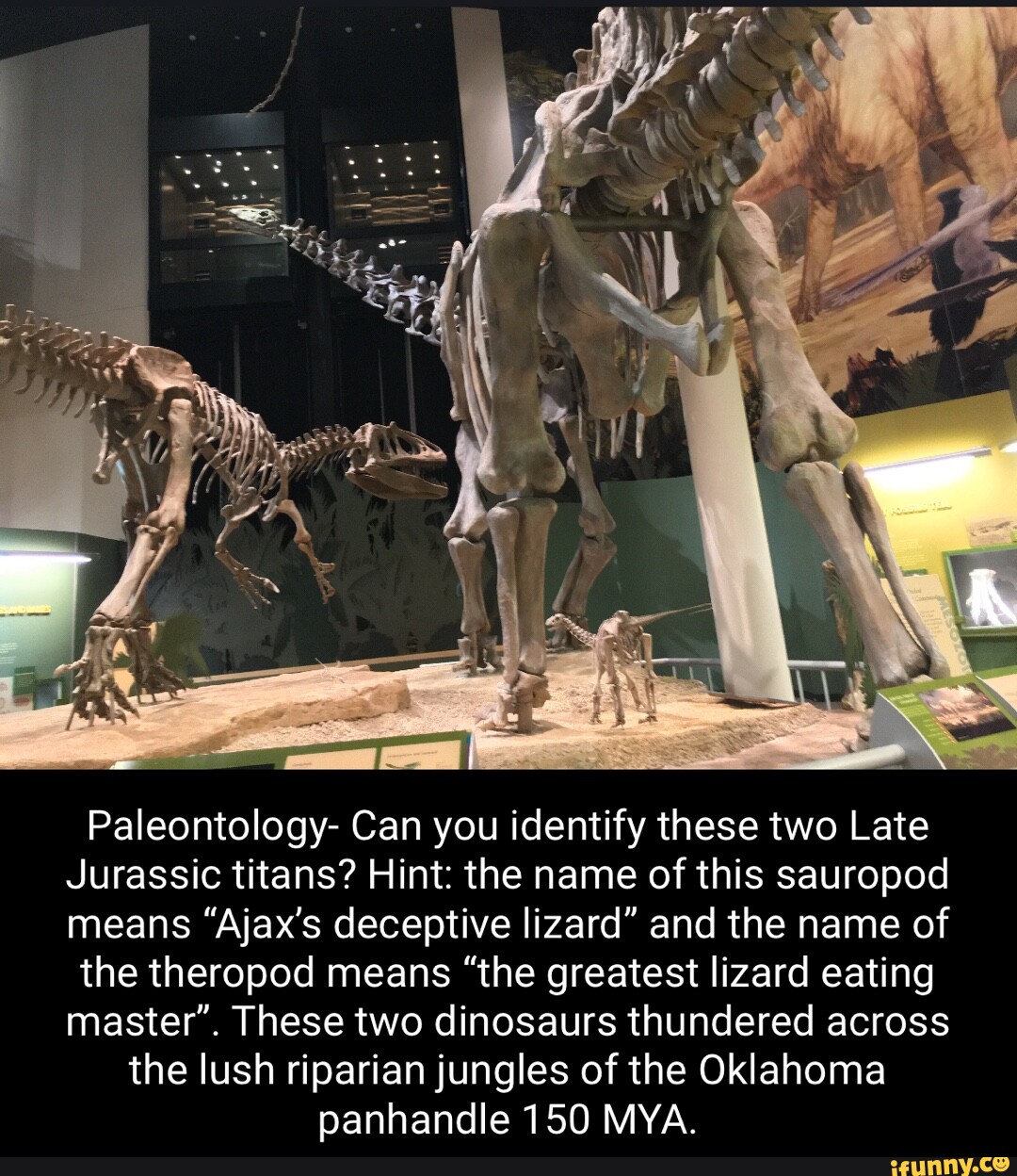Paleontology Can you identify these two Late Jurassic titans? Hint