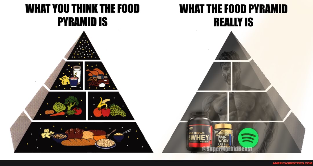 WHAT YOU THINK THE FOOD WHAT THE FOOD PYRAMID PYRAMID IS REALLY IS WORK ...