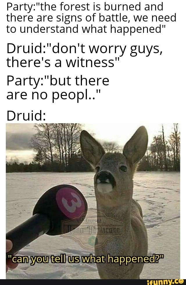 forest is burned and there are signs of battle, we need to understand what happened" worry guys, there's a witness" there
are no peopl."
Druids