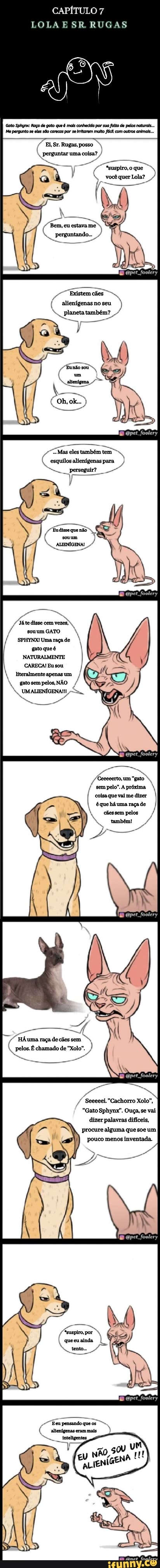 CAPÍTULO 7
LOLA E SR RUGAS
Ei, Sr. Rugas, posso perguntar uma coisa?
*suspiro, o que
Perguntando.. eu estava me
Perguntando..
pet foolery
( alienígenasno seu )
Planeta também?
"Mas eles também tem esquilos alienfgenas para ) perseguir?
TO", disse Táte cem souumento N SPHYNXI Uma raça de estoqueé
NATURALMENTE CARECA! Eu sou apenas um /
N gato sem ppelos, NÃO (S UMALIENÍGENAI!
éque há uma raça de cáes sem pelos
per foolery
uma raça de cões sem N,
(is É chamado de "Xolo".
Seeeeei. "Cachorro Xolo",
"Gato Sphynx". Ouça, se vai
dizer palavras dificeis,
procure alguma que soe um
pouco menos inventada.
foolery