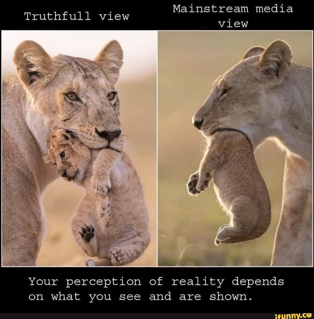Mainstream media
Truthfull view view
Your perception of reality depends on what you see and are shown.
