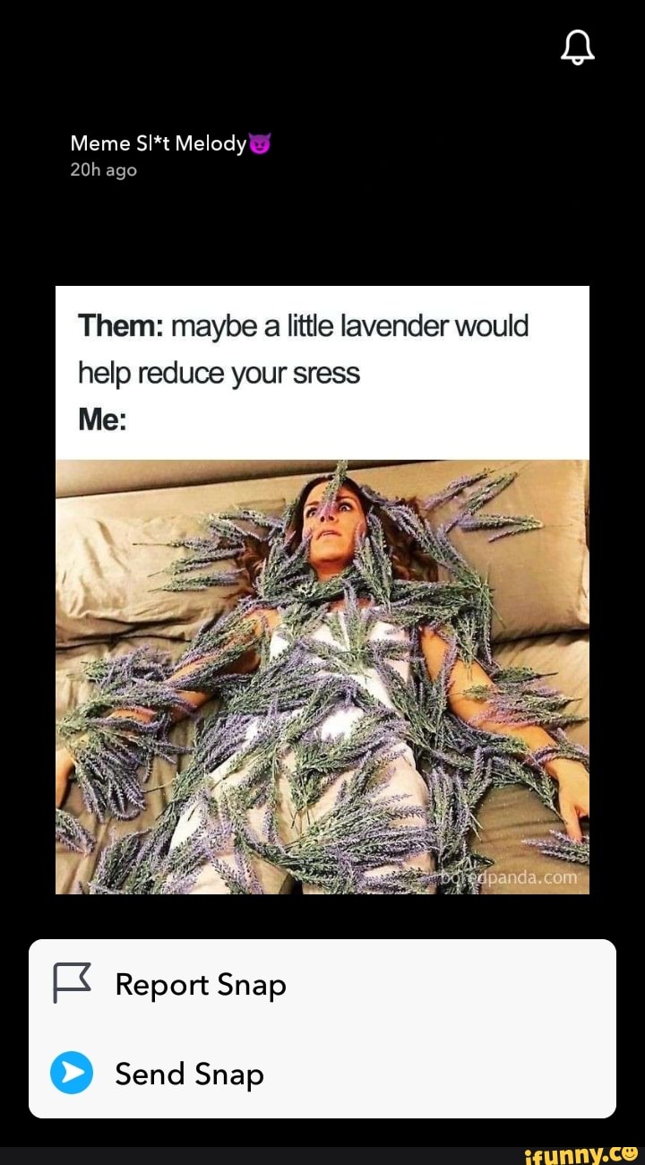 Meme SI*t Melody ago Them maybe a little lavender would help reduce