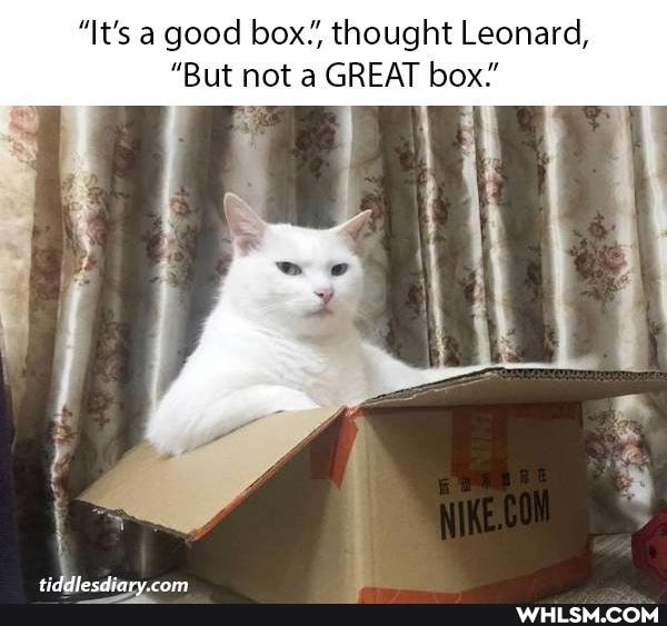 "It's a good box., thought Leonard,
"But not a GREAT box."