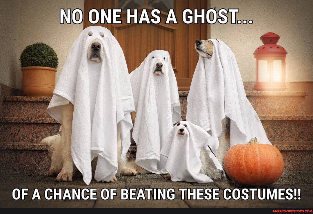 NO ONE HAS A GHOST...
OF A CHANCE OF BEATING THESE COSTUMES!!