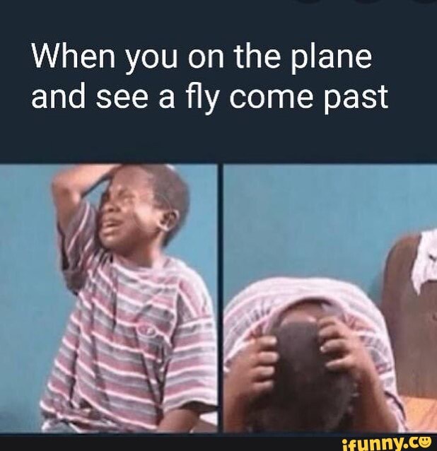 When you on the plane
and see a fly come past